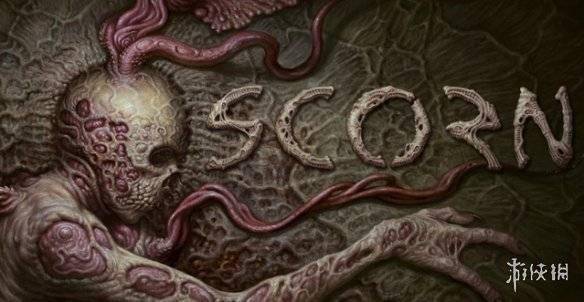 91久久精品视频