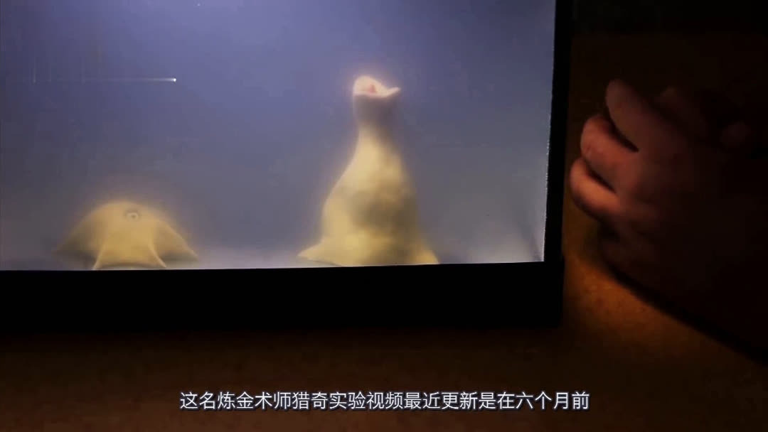 小马大车暗网视频