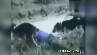 影视工场3443tv网页版 这些平台拥有海量正版内容