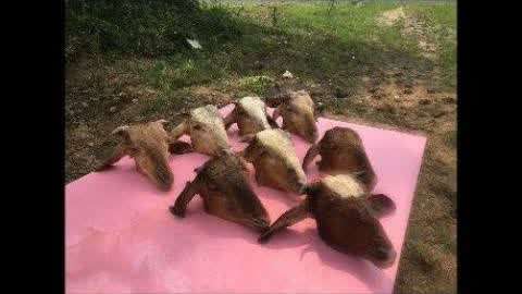 m系漫 系漫如果你有其他问题