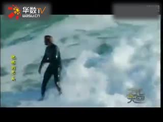 老狼二区忘忧草欢迎您大豆 怎么用大豆做家常菜