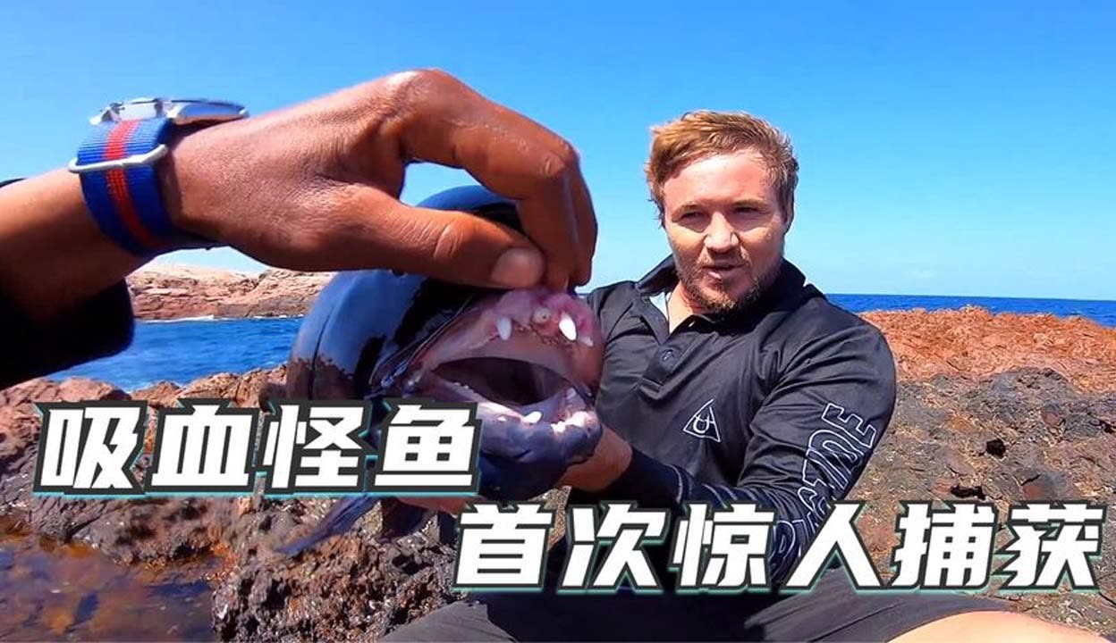 凌云母女 特指某对具体母女的名人组合