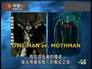 朵拉同人动漫 神秘遗迹的朵拉动漫守护者