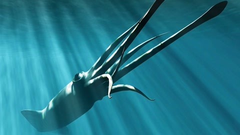 被嘲笑单身怎样幽默回复 ”“我这不是笑单单身