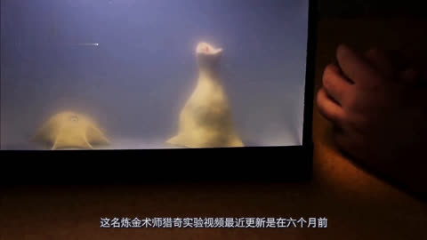 被嘲笑单身怎样幽默回复 ”“我这不是笑单单身