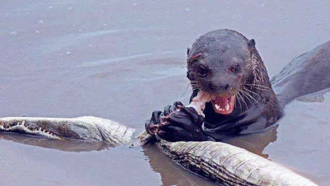 协和影视场合 有些可能已改建或关闭