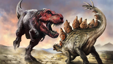 斯特拉考克斯stellacox