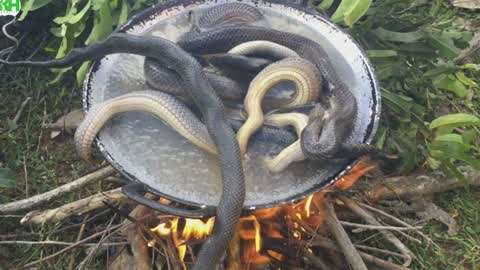 希儿大战薇塔3d同人