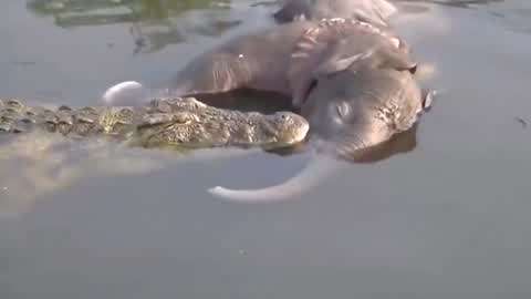 姜幼念回放 请注意内容来源的姜幼可靠性