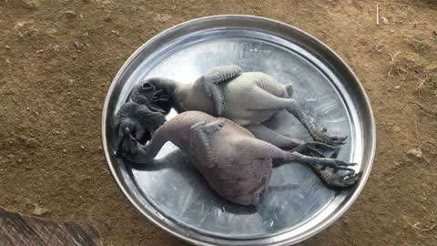 火影无删减 绝对不推荐：国内流媒体平台