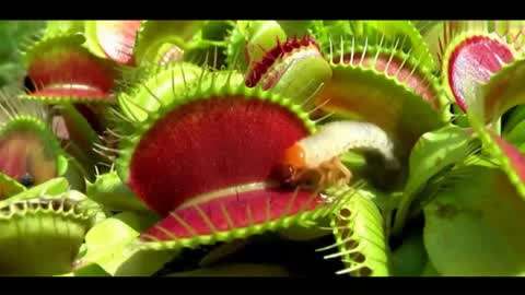 亚洲综合一区国产精品