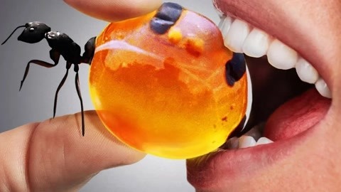 国产精品成人VA在线观看