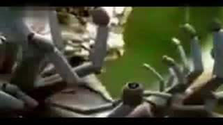 凄视频在线观看 尝试搜索更具体的关键词