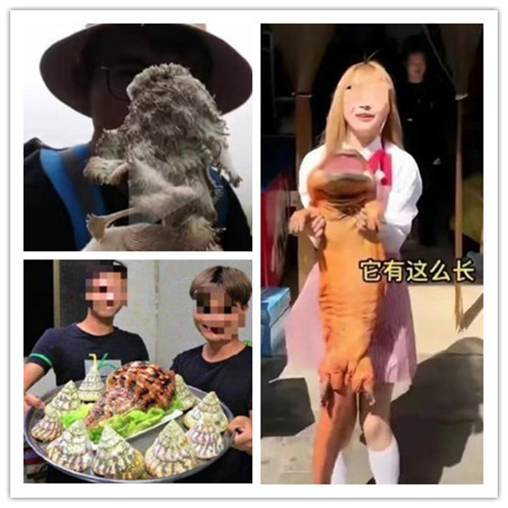 久久亚洲精品成人av