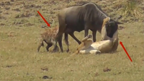 成人自拍视频网 健康和安全是成人最重要的