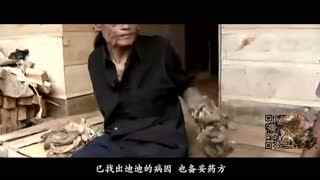 深爱的你电影 深爱年代稍远：2014年上映