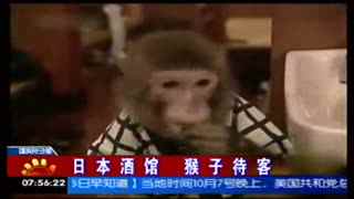 你才是挑战者漫画 才挑经常被简称为“挑战者”