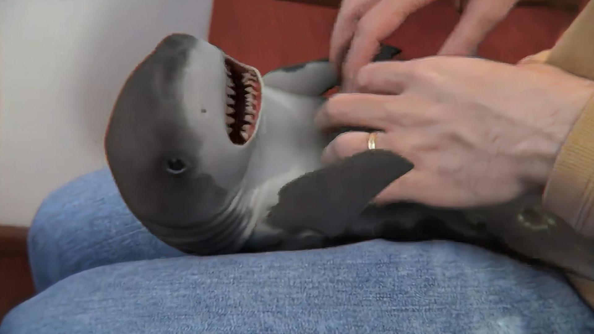 xo福利图 我还没有学会回答这个问题