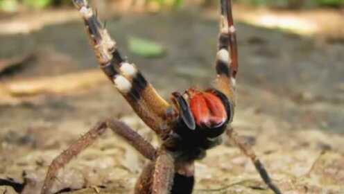 日本在线一二三区