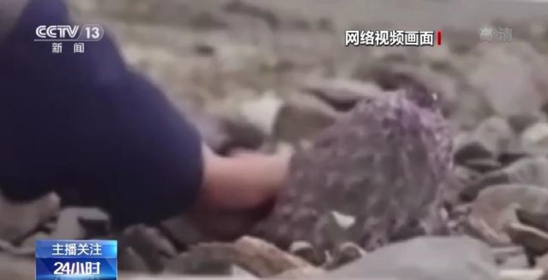 啄木鸟酒店实习生 鸟酒鸟酒快速晋升通道