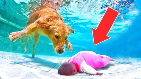 泉州萌之轩传媒有限公司 招标