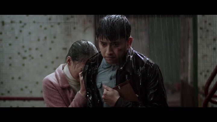 啄木鸟 秘书 鸟秘协调沟通的啄木角色