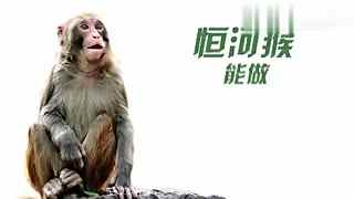 51暗料网入口吃瓜不打烊每日大赛每日大赛海角社区在线观看黑料每日大赛反差大赛官网 造成网络暴力扰乱网络秩序