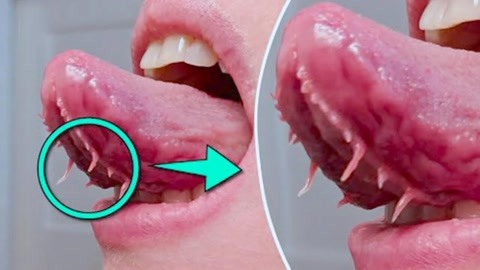 艘视频 HandBrake等工具转换格式