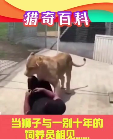 一个电台 线性直播：节目按时间表播出