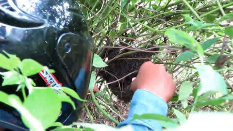 麻豆国产精品VA在线观看不卡 本身就包含了用户需求