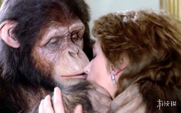 被车撞了怎么处理流程