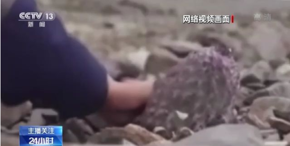 暗黑料吃瓜网站