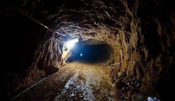 果冻蜜桃1区 果冻黄皮也能轻松驾驭