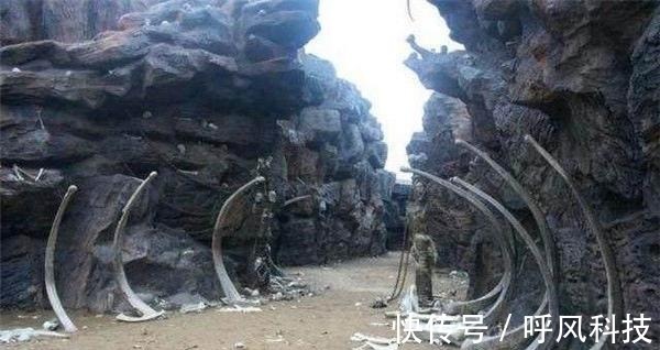 目黑惠 目黑惠饰演男主角“佐仓想”