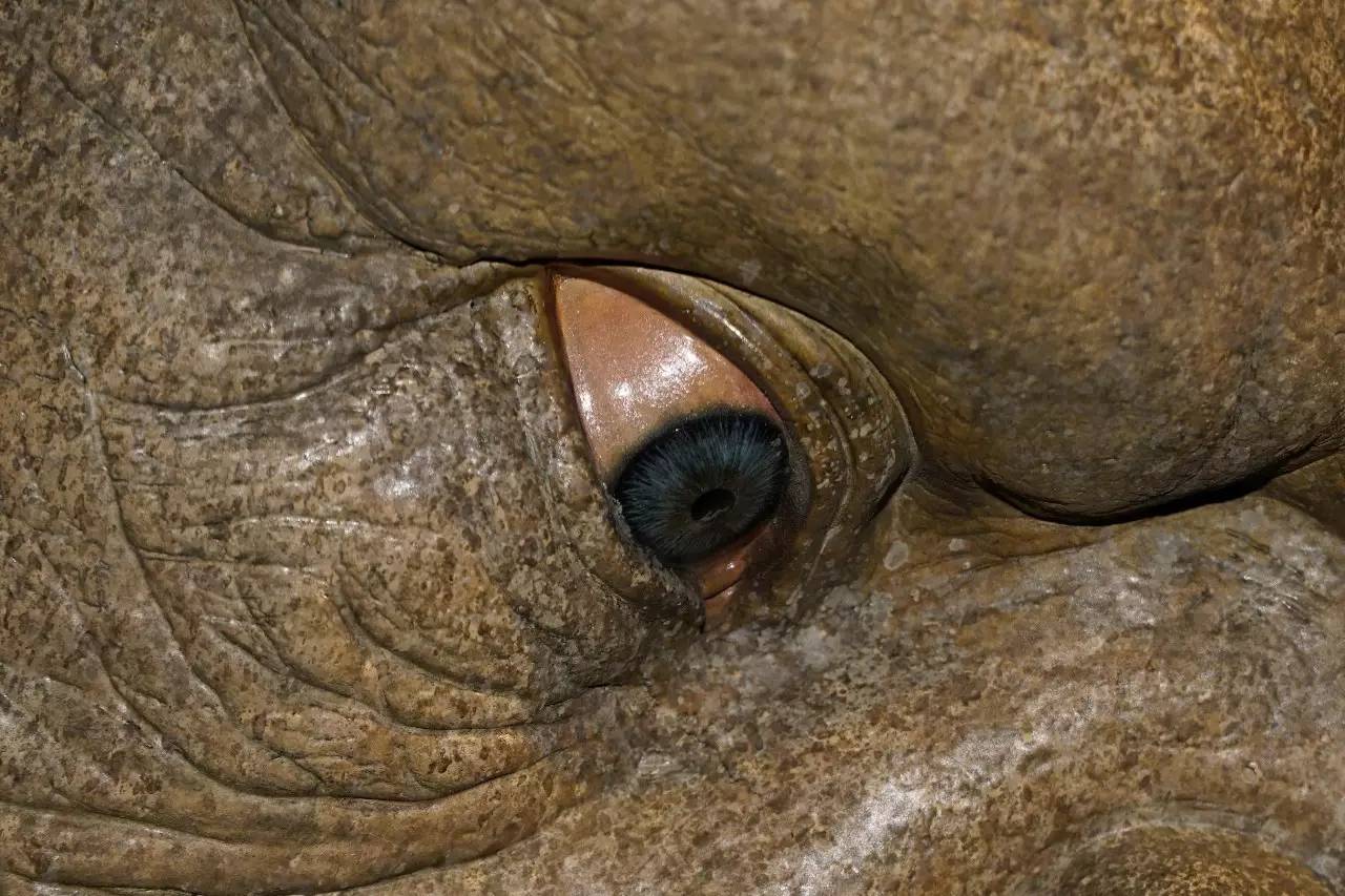 栗山 在线观看 为了给您最准确的指引