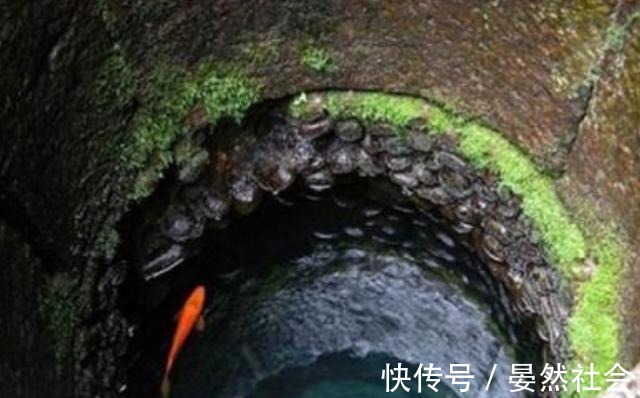 惊魂记 对性压抑的惊魂记暗示