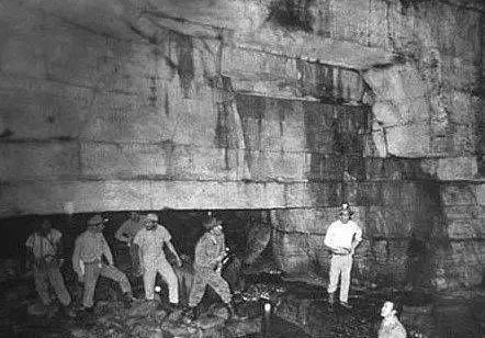 啄木鸟电影开胃菜