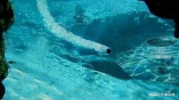 天美传媒在线观看一线二线 线观线让观看更加灵活