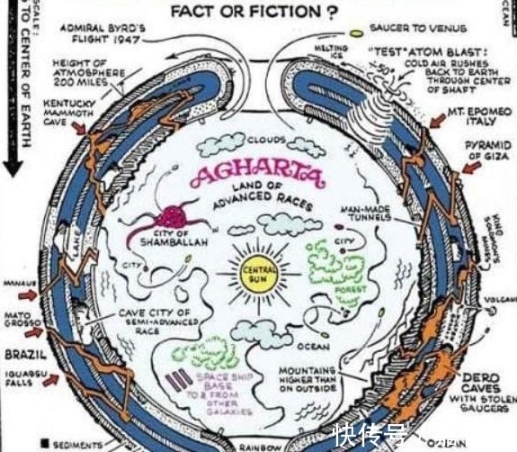 啄木鸟满天星 花卉品牌的啄木创意名称