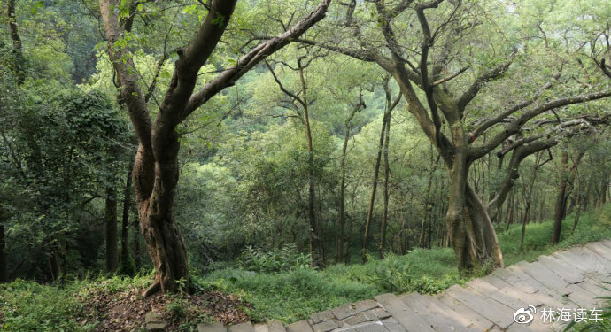 美甲视频 美甲视频创意灵感来源