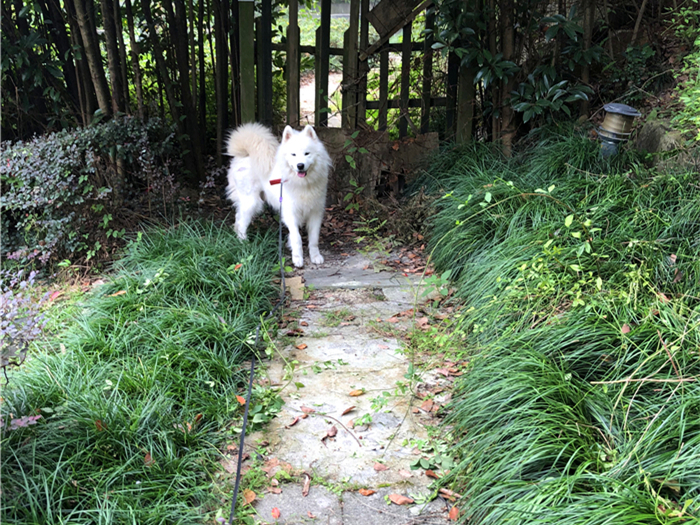 新优 涉及教育、新优科技等行业