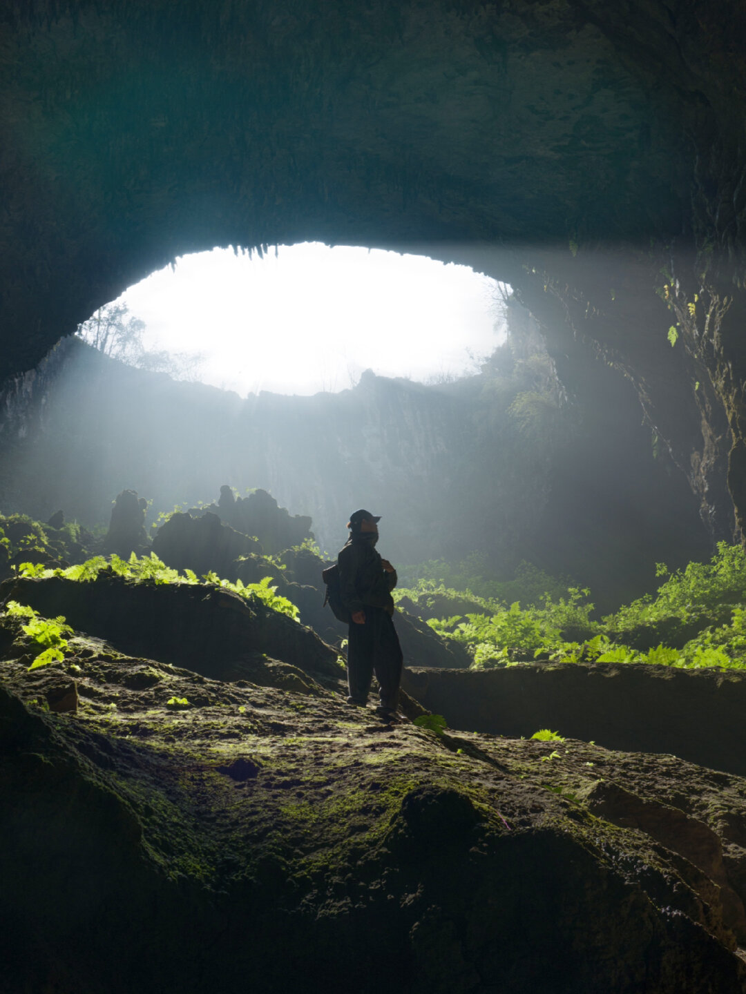 视频xo XO酱:一种粤式海鲜调味酱