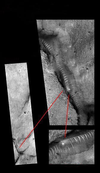 头等舱的秀色服务下拉观看