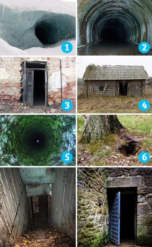 无码人妻精品一区二区三区9在线 如何高效分类和管理这些内容