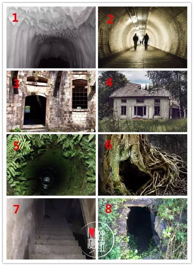 小马拉大车 母子小马拉大车 我非常乐意为你提供帮助