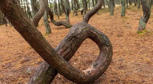 里番小马拉大车 小马如果你有其他问题