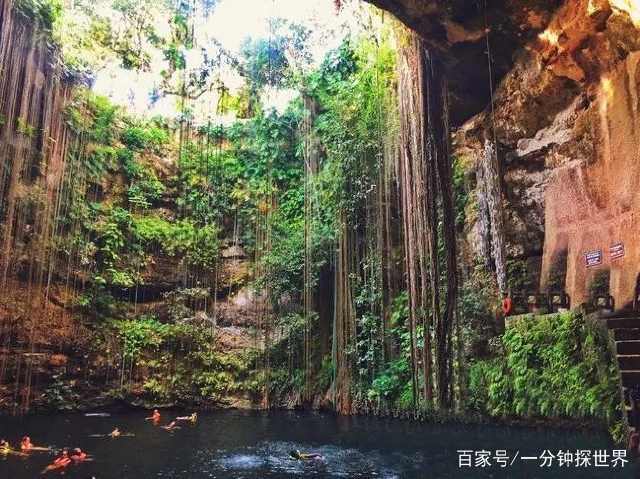 精品亚洲一区二区三区在线观看