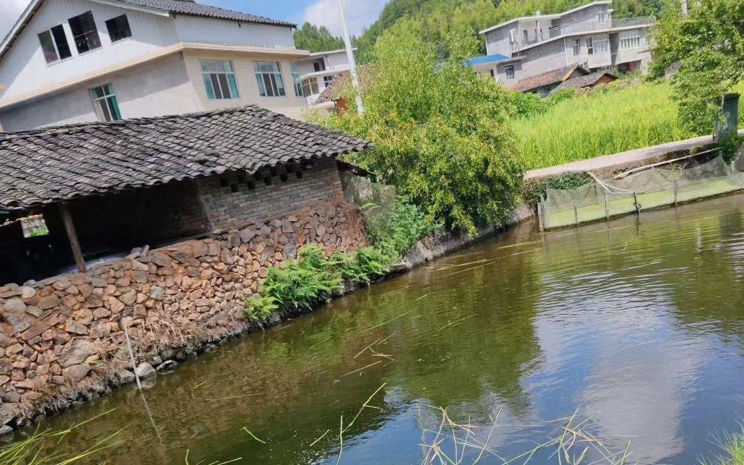 中文字幕在线观看亚洲视频