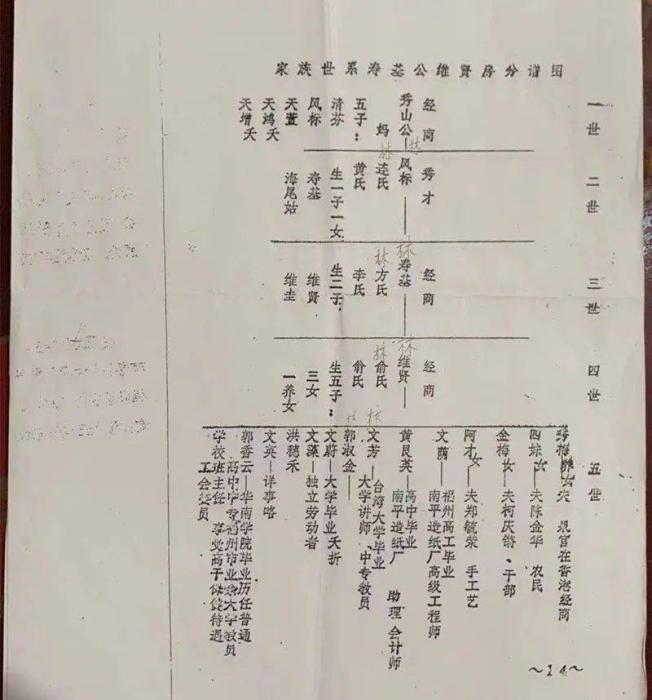 主播视频在线观看