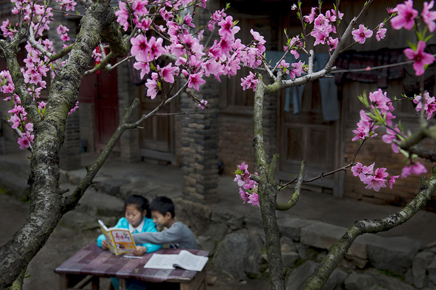 国产精品99玖玖爱在线观看 本文将带您深入了解这一趋势